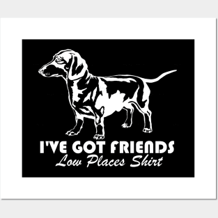 I've Got Friends in Low Places Posters and Art